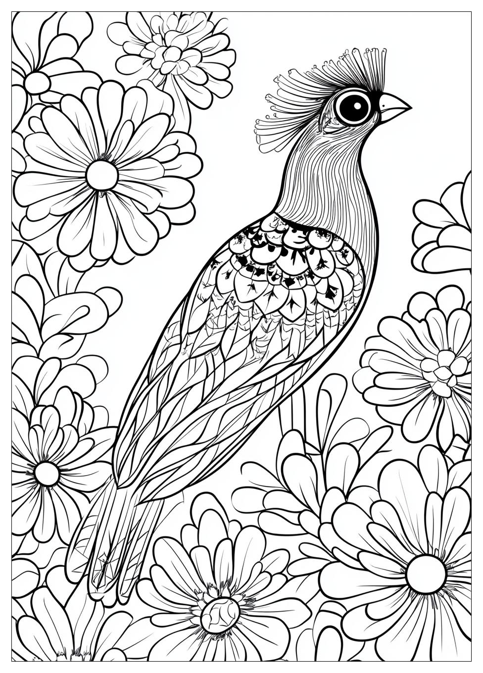 adult_coloring_pages_13