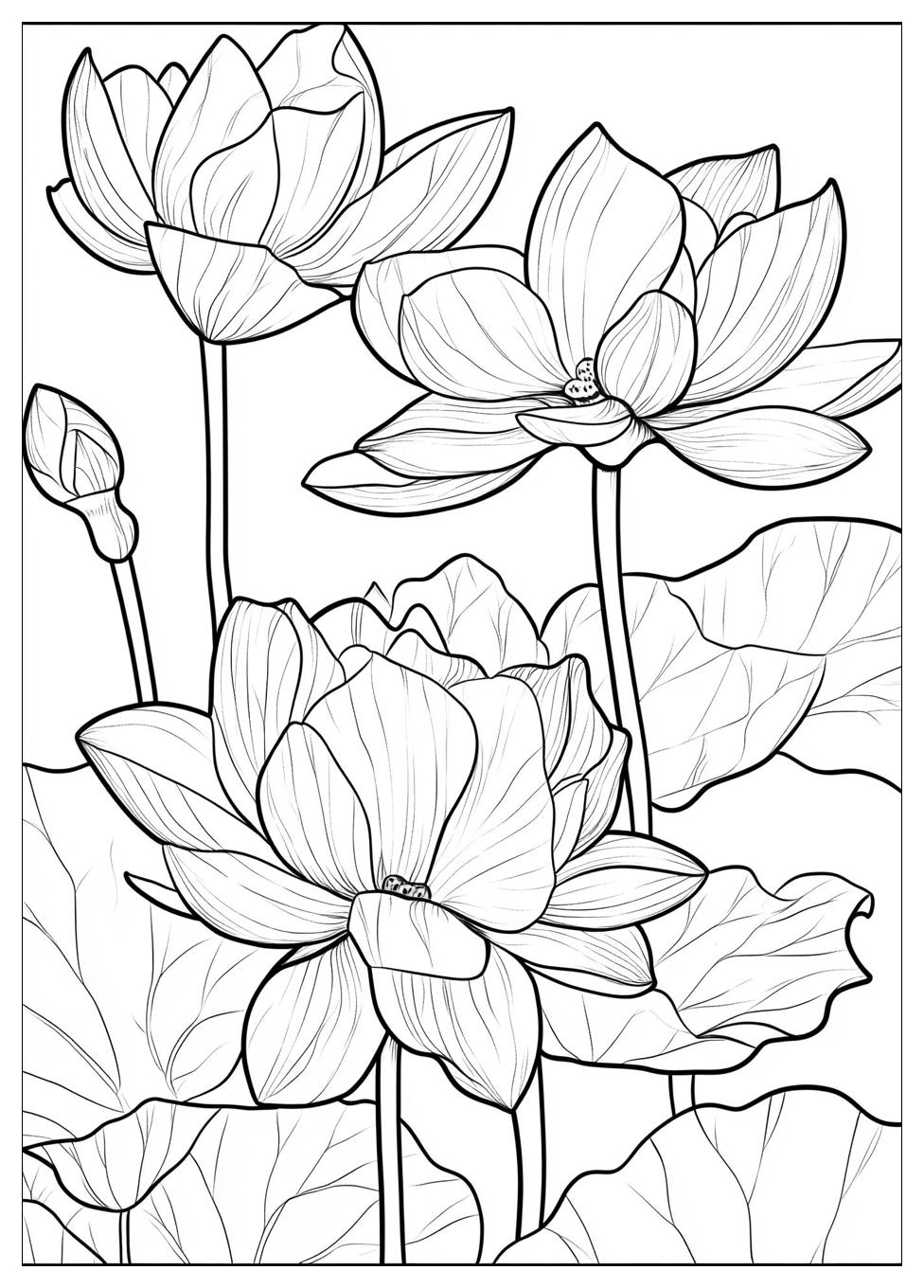 adult_coloring_pages_4