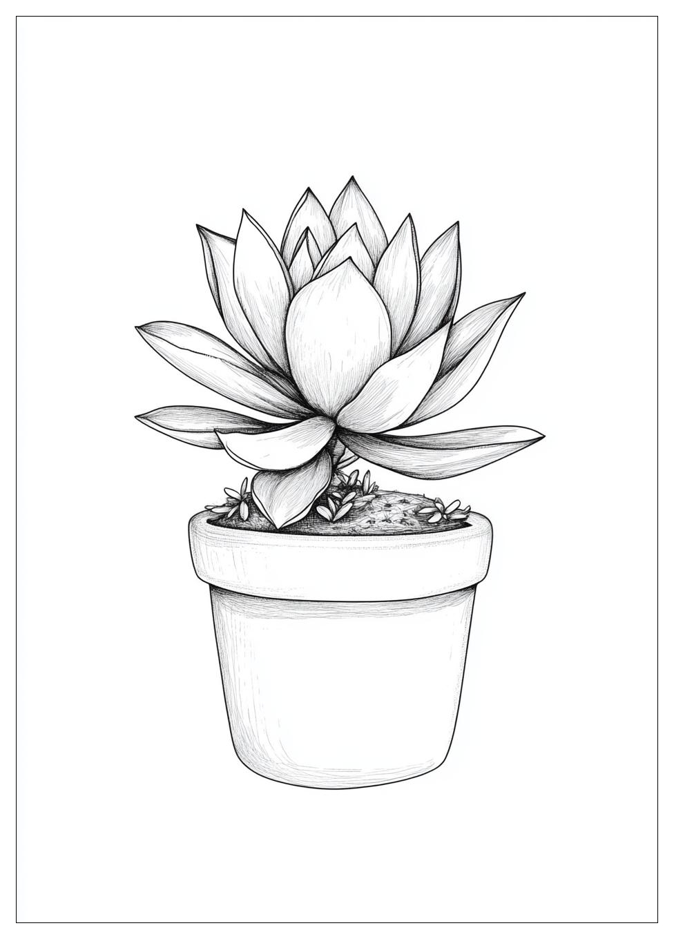 aesthetic_plant_coloring_pages_1