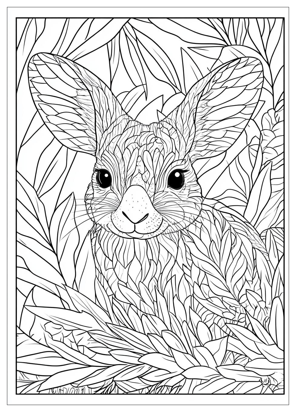 australia_coloring_pages_24