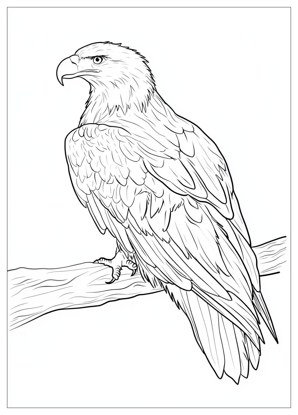 bald_eagle_coloring_pages_17