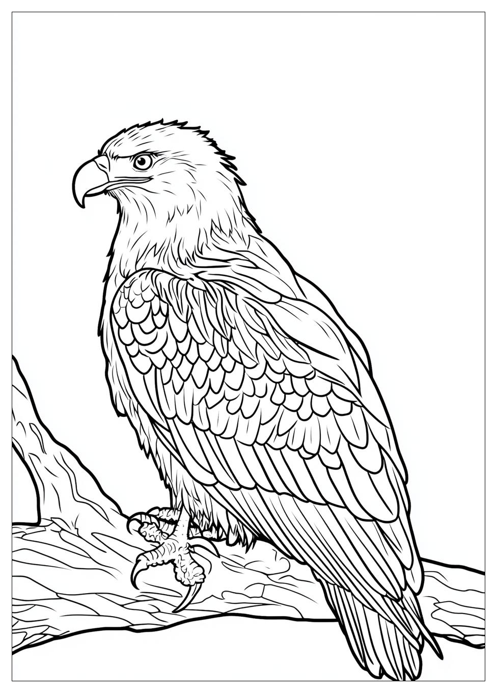 bald_eagle_coloring_pages_18