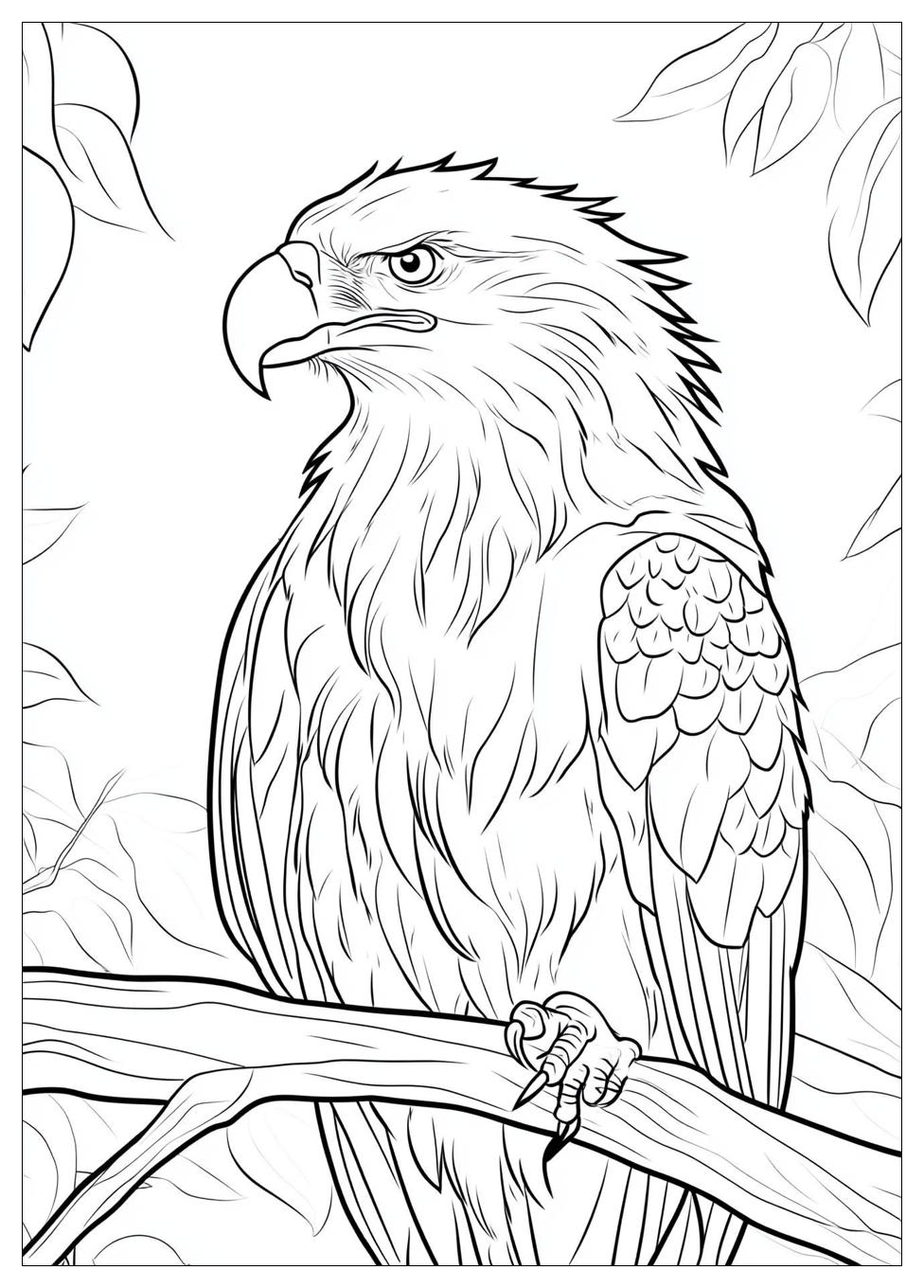 bald_eagle_coloring_pages_19