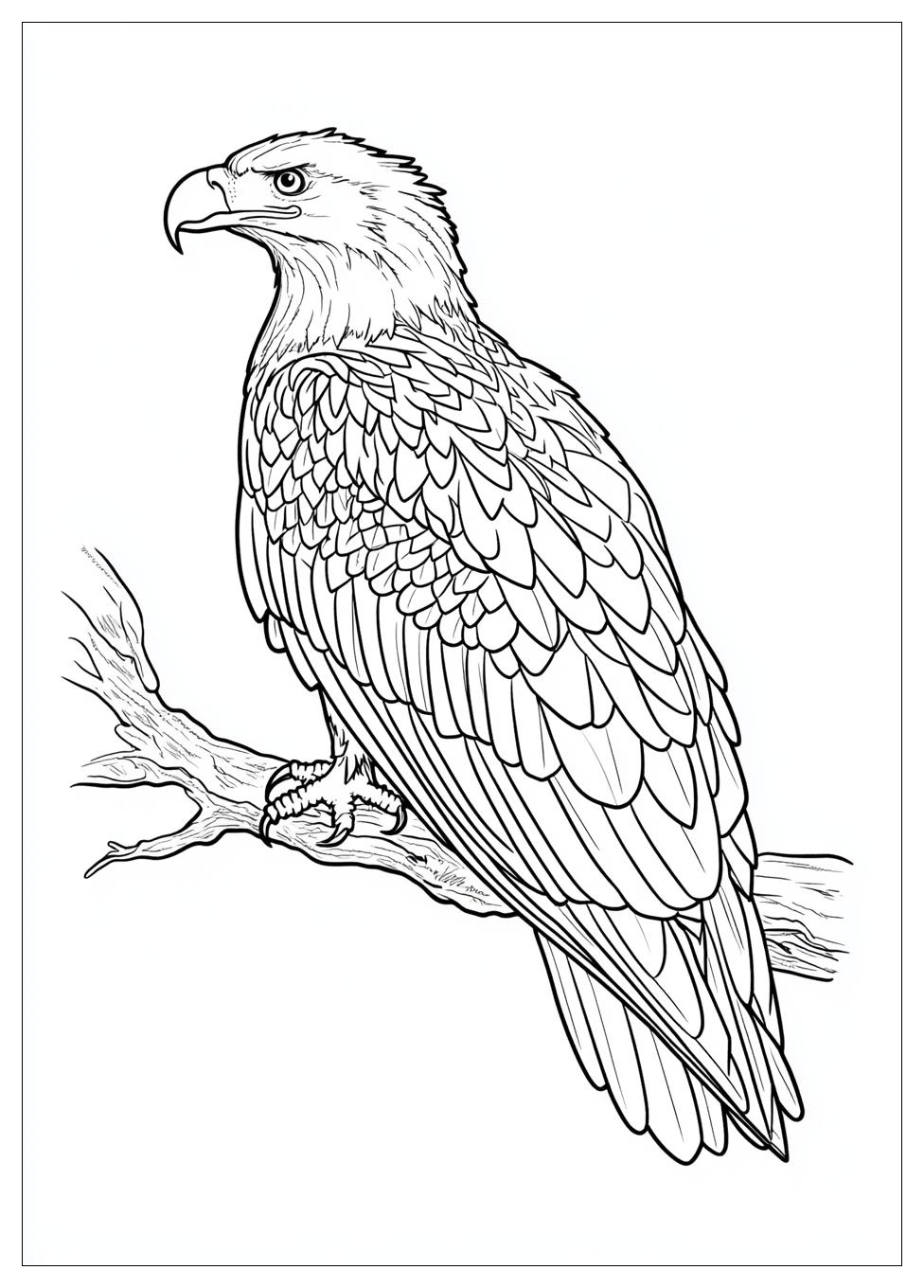 bald_eagle_coloring_pages_22