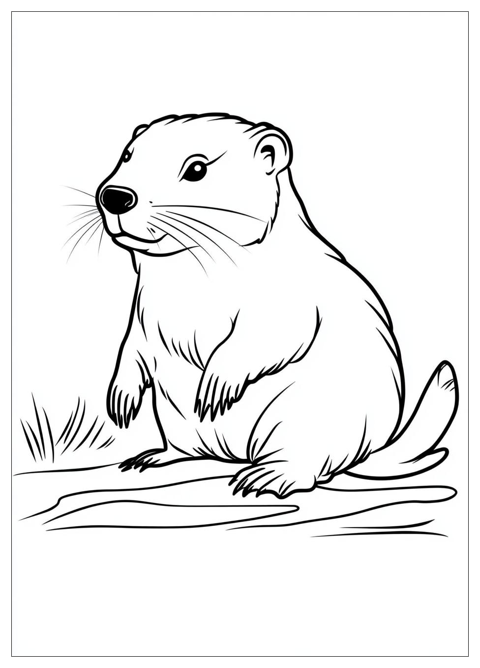 beaver_coloring_pages_16