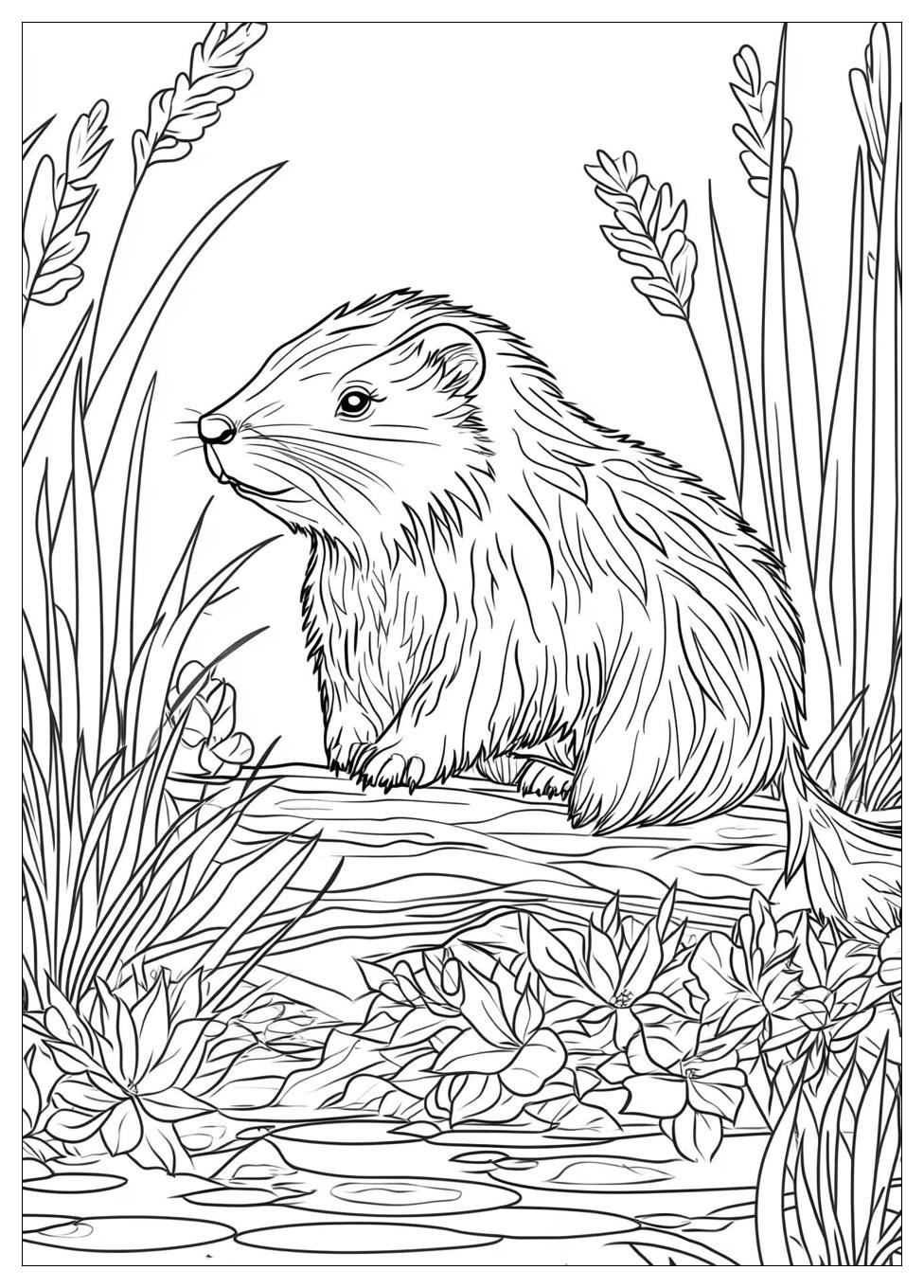 beaver_coloring_pages_22