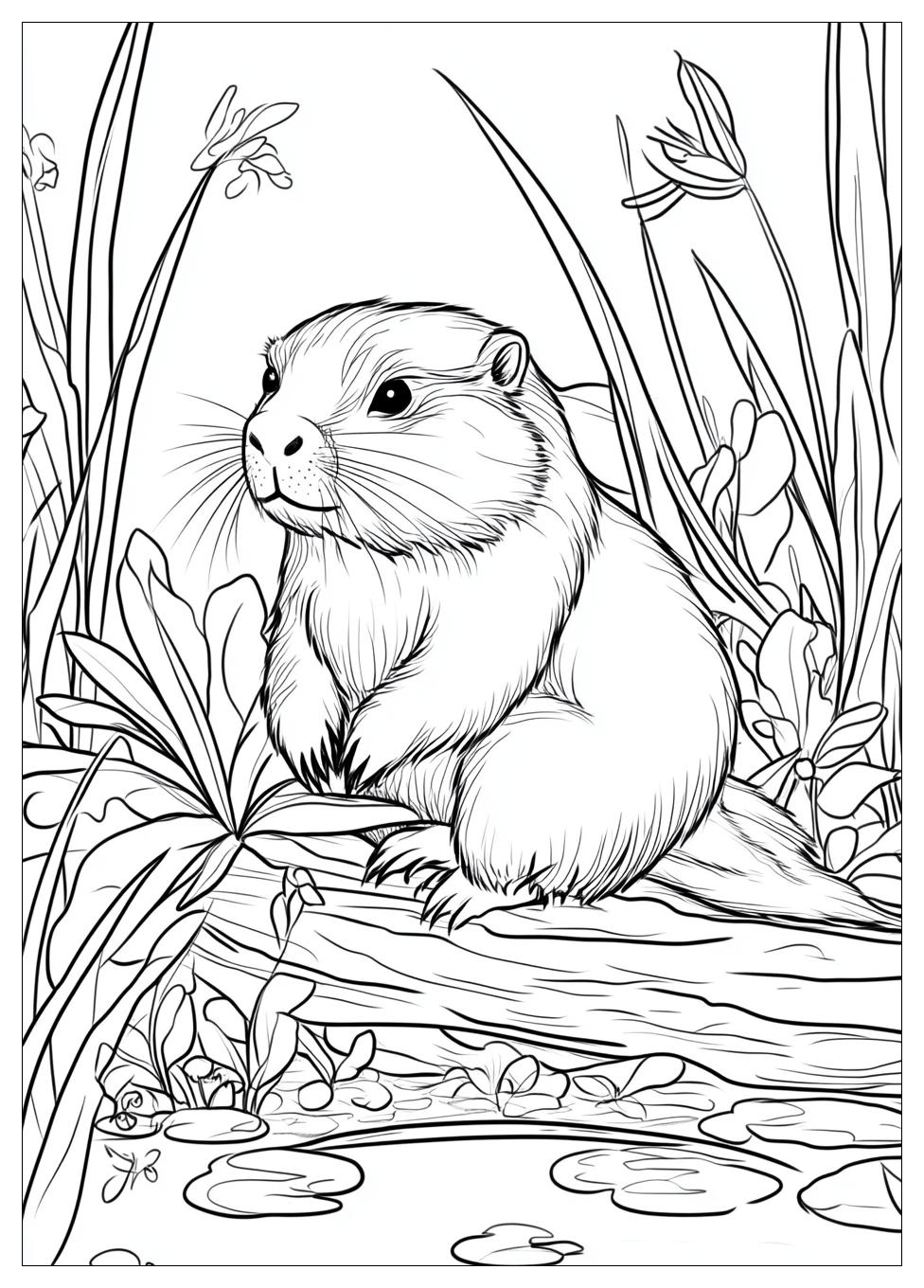 beaver_coloring_pages_23