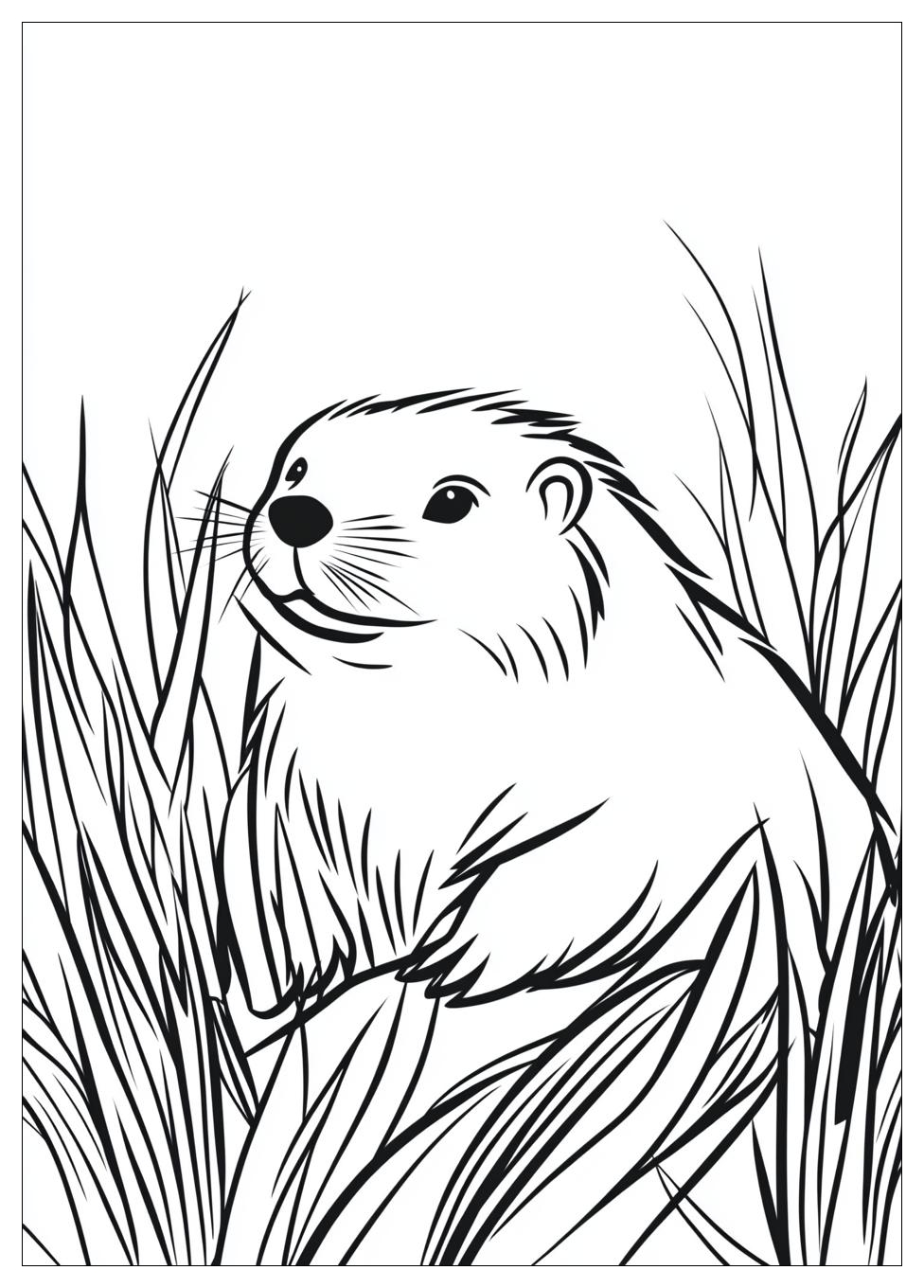 beaver_coloring_pages_5