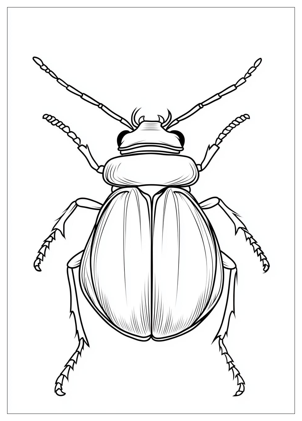 beetle_coloring_pages_1