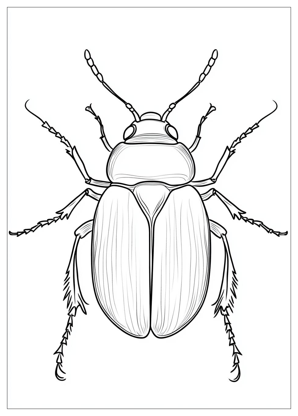 beetle_coloring_pages_14