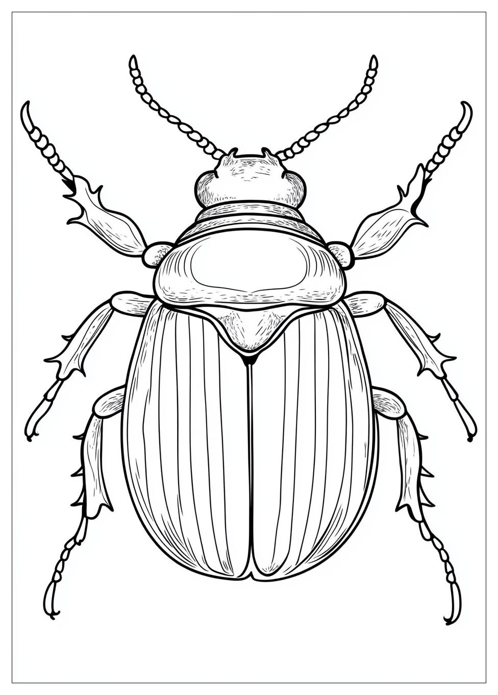 beetle_coloring_pages_2