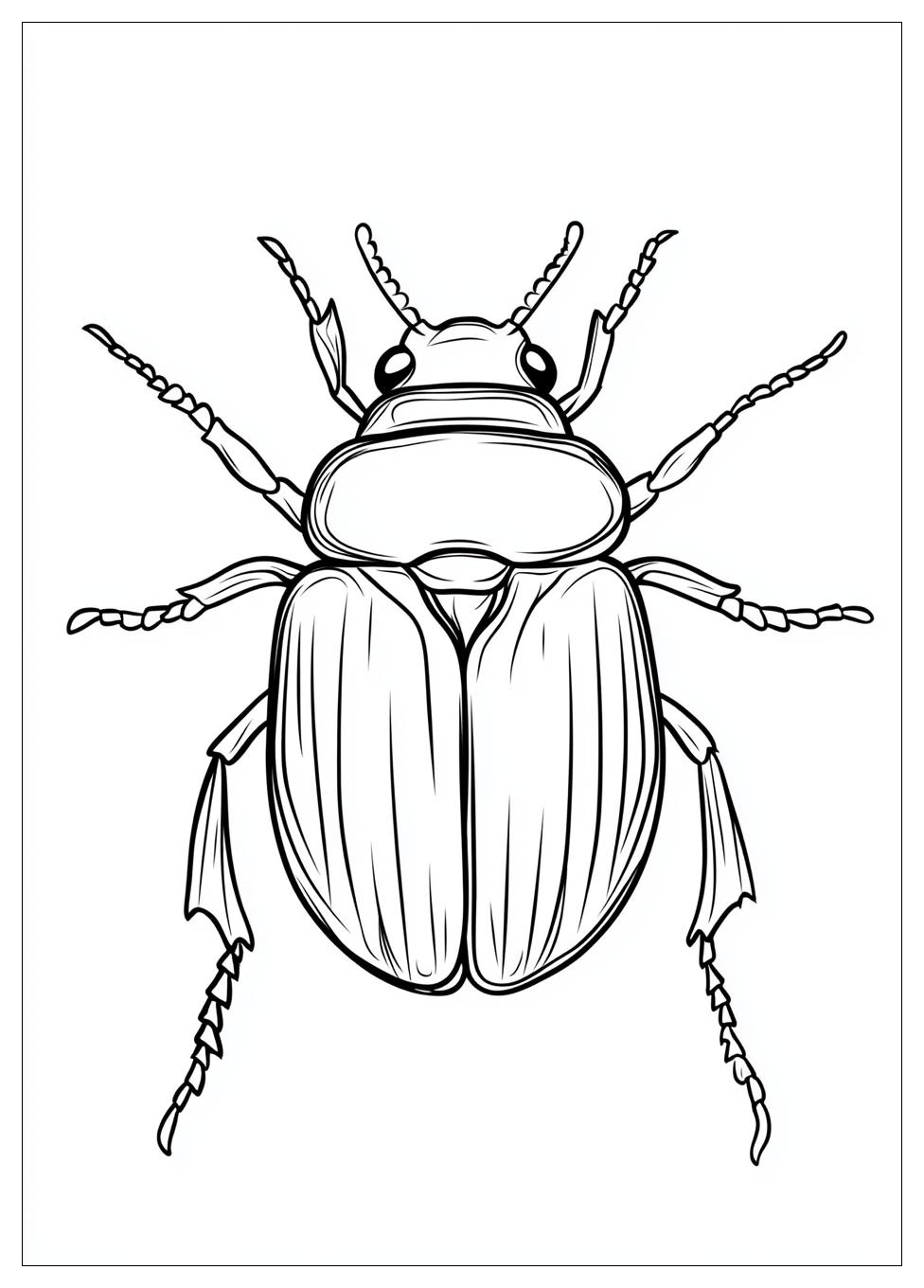 beetle_coloring_pages_4