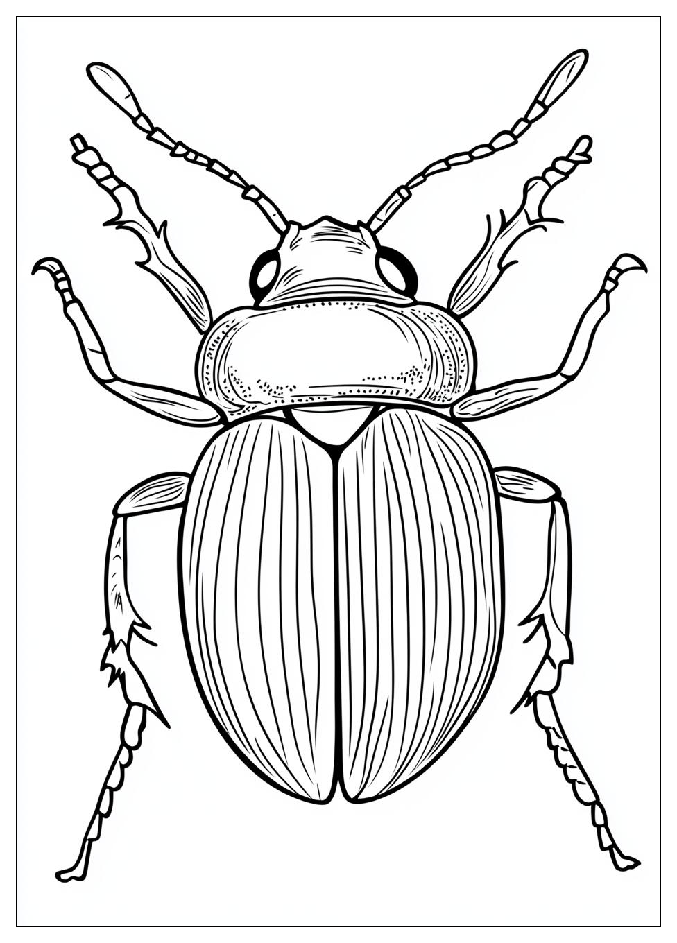 beetle_coloring_pages_5