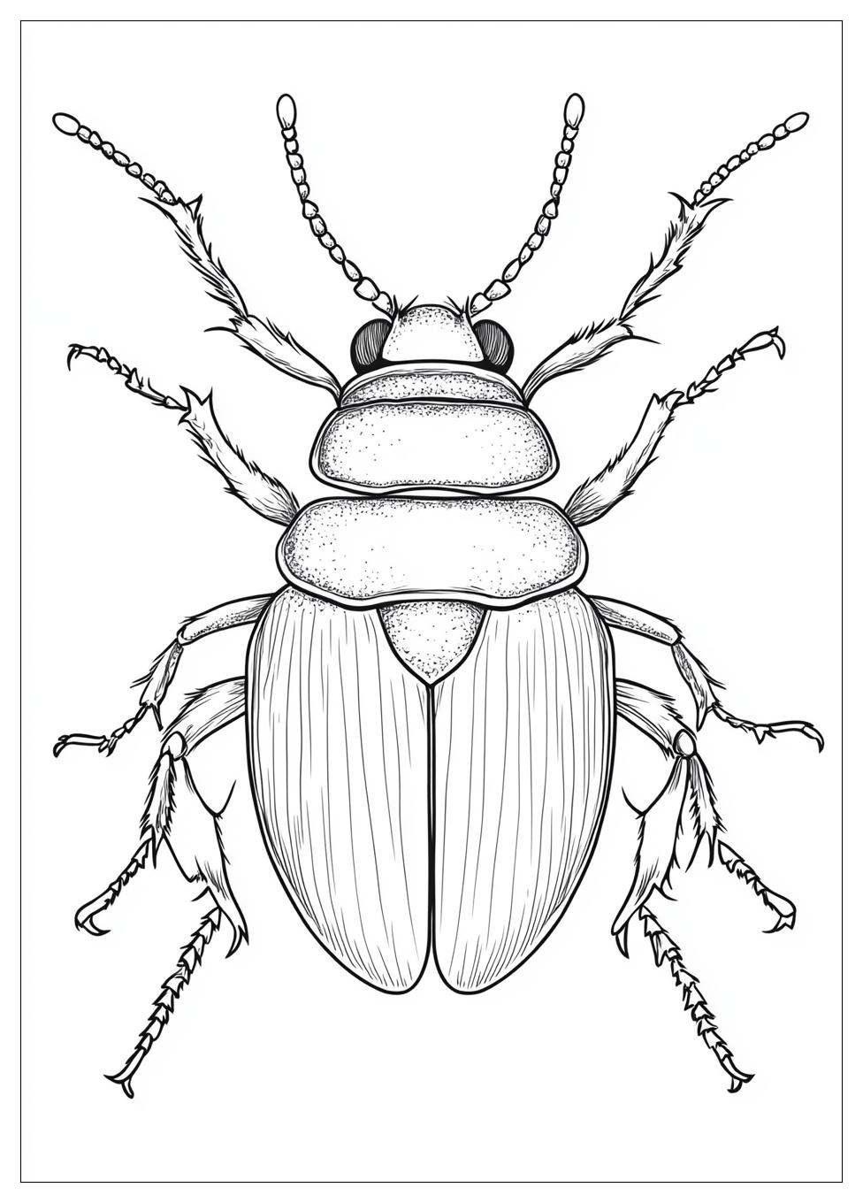 beetle_coloring_pages_6