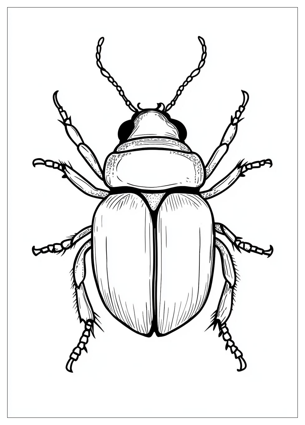 beetle_coloring_pages_8