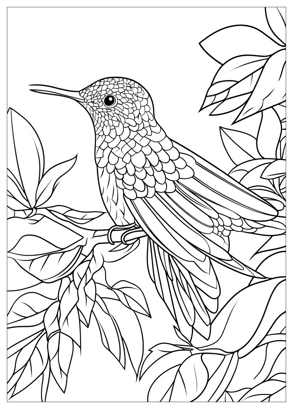 bird_coloring_pages_1