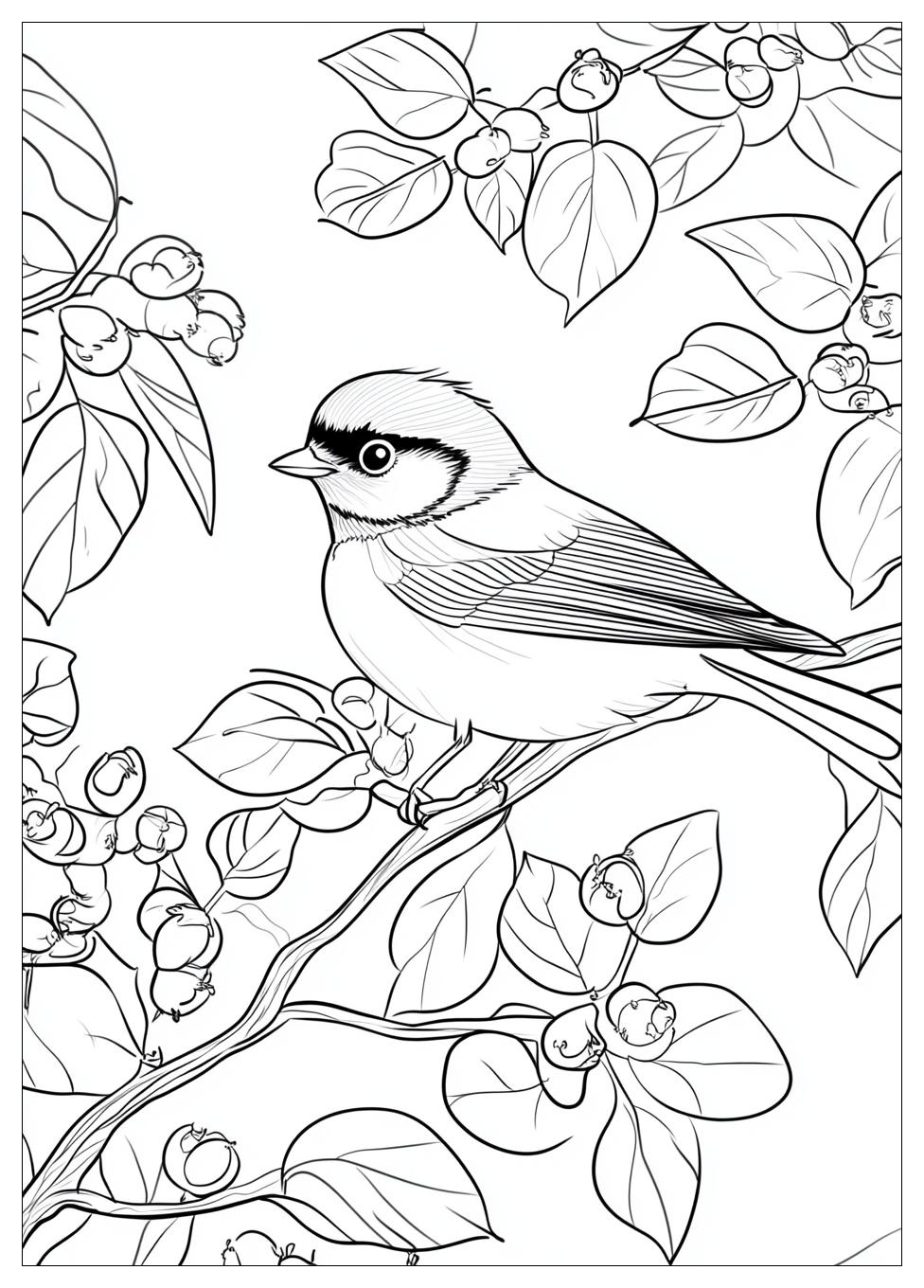 bird_coloring_pages_10