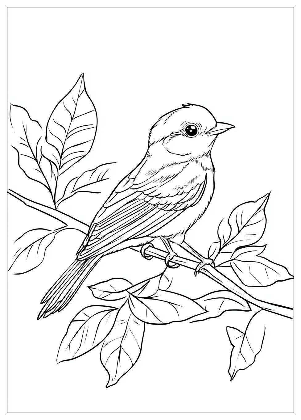 bird_coloring_pages_11