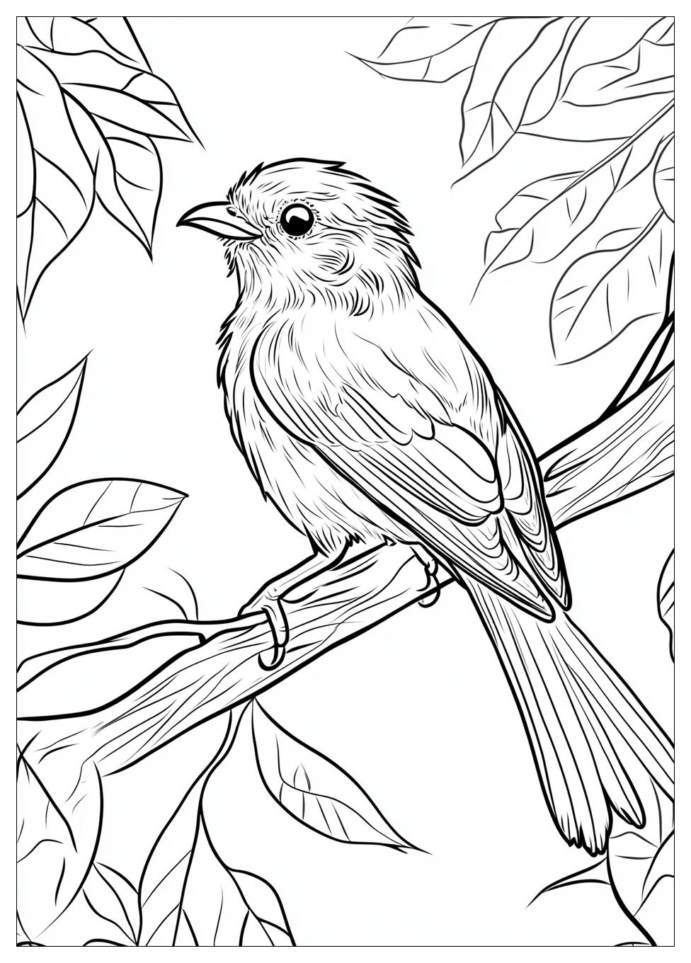 bird_coloring_pages_12