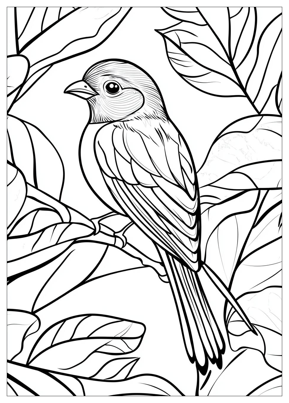 bird_coloring_pages_14