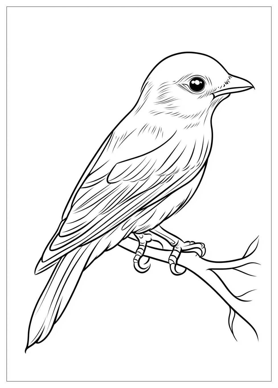 bird_coloring_pages_16