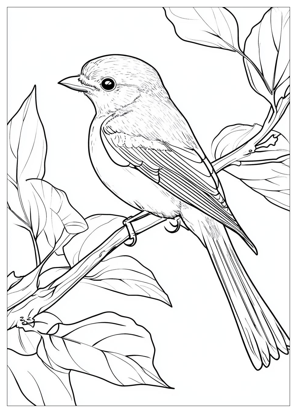 bird_coloring_pages_2