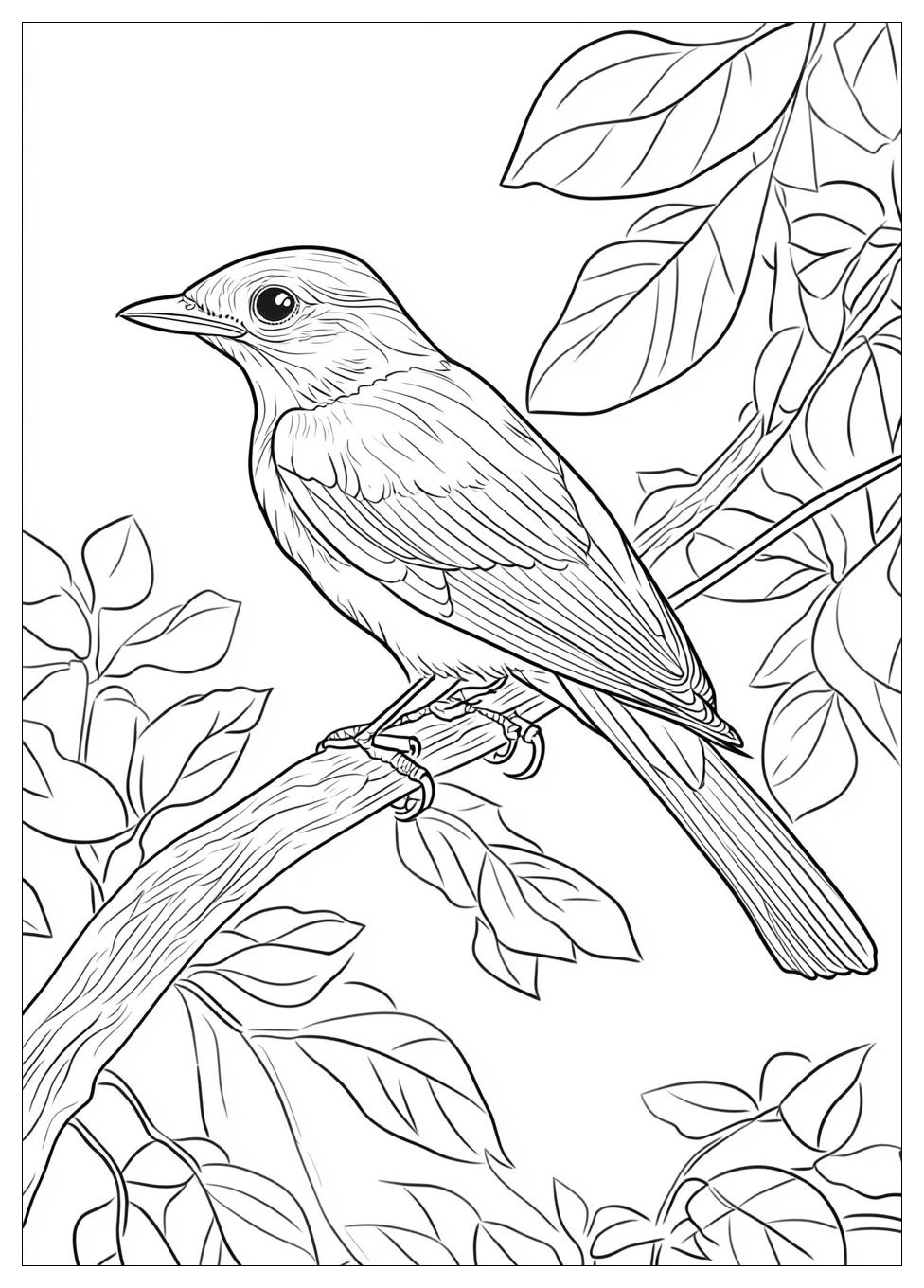 bird_coloring_pages_20