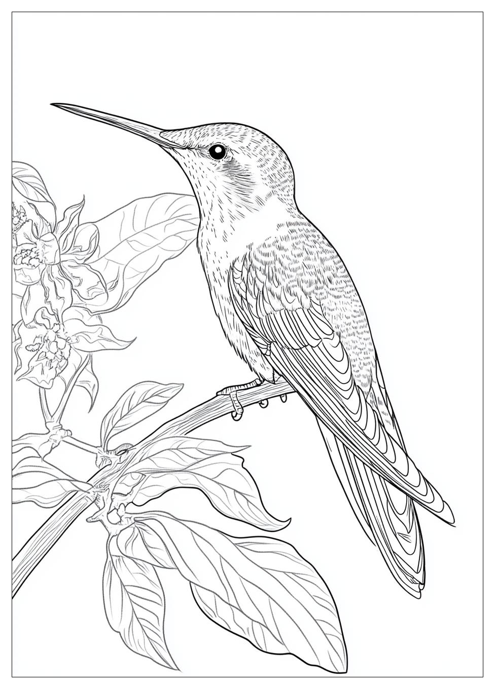 bird_coloring_pages_23