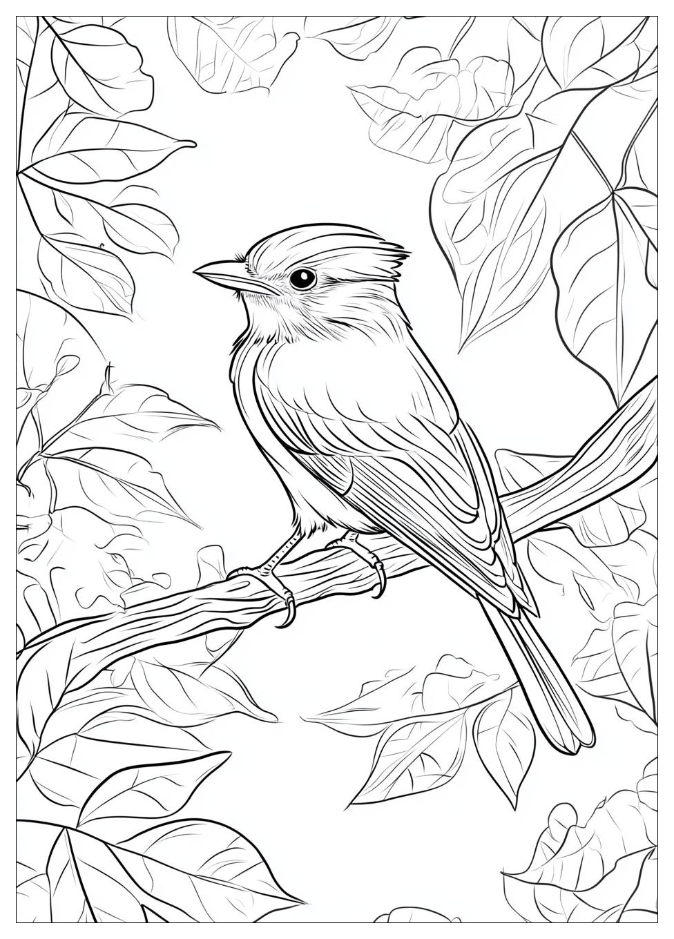 bird_coloring_pages_5