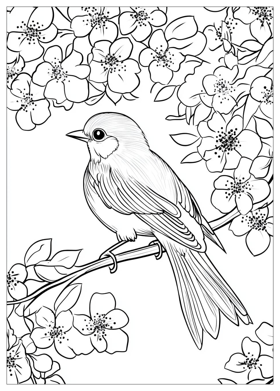 bird_coloring_pages_8