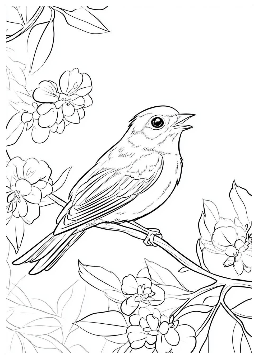 bird_coloring_pages_9