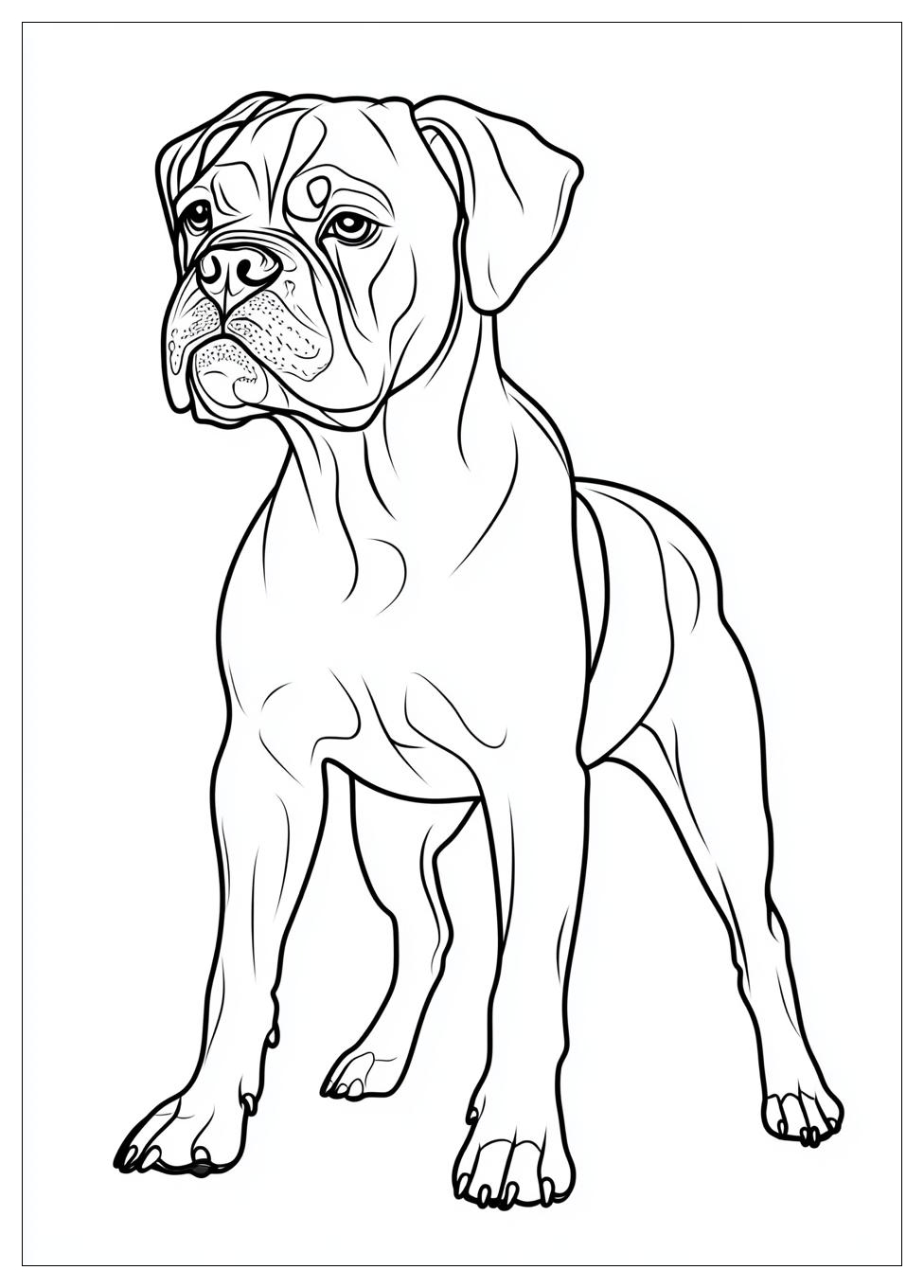 boxer_coloring_pages_6