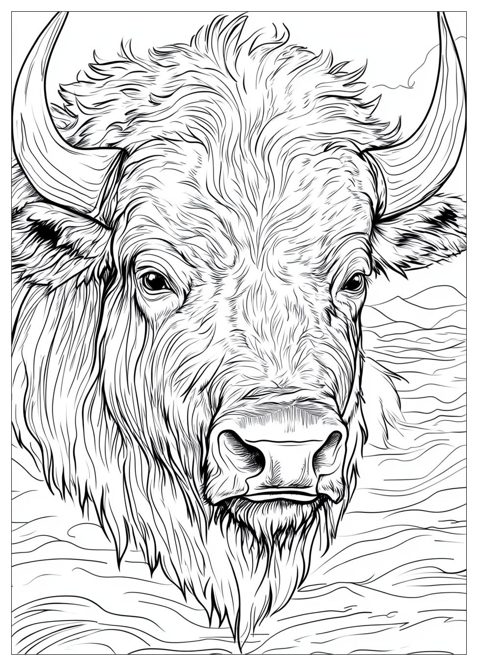 buffalo_coloring_pages_1