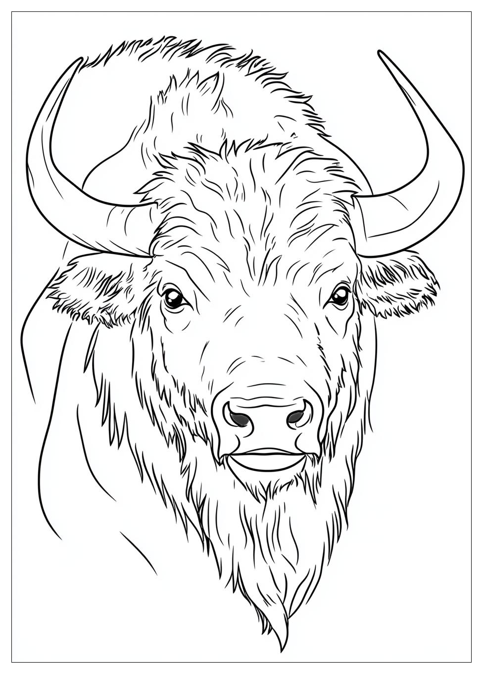 buffalo_coloring_pages_11