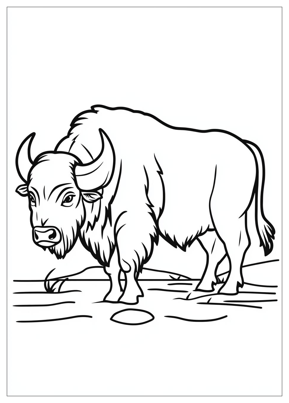 buffalo_coloring_pages_13