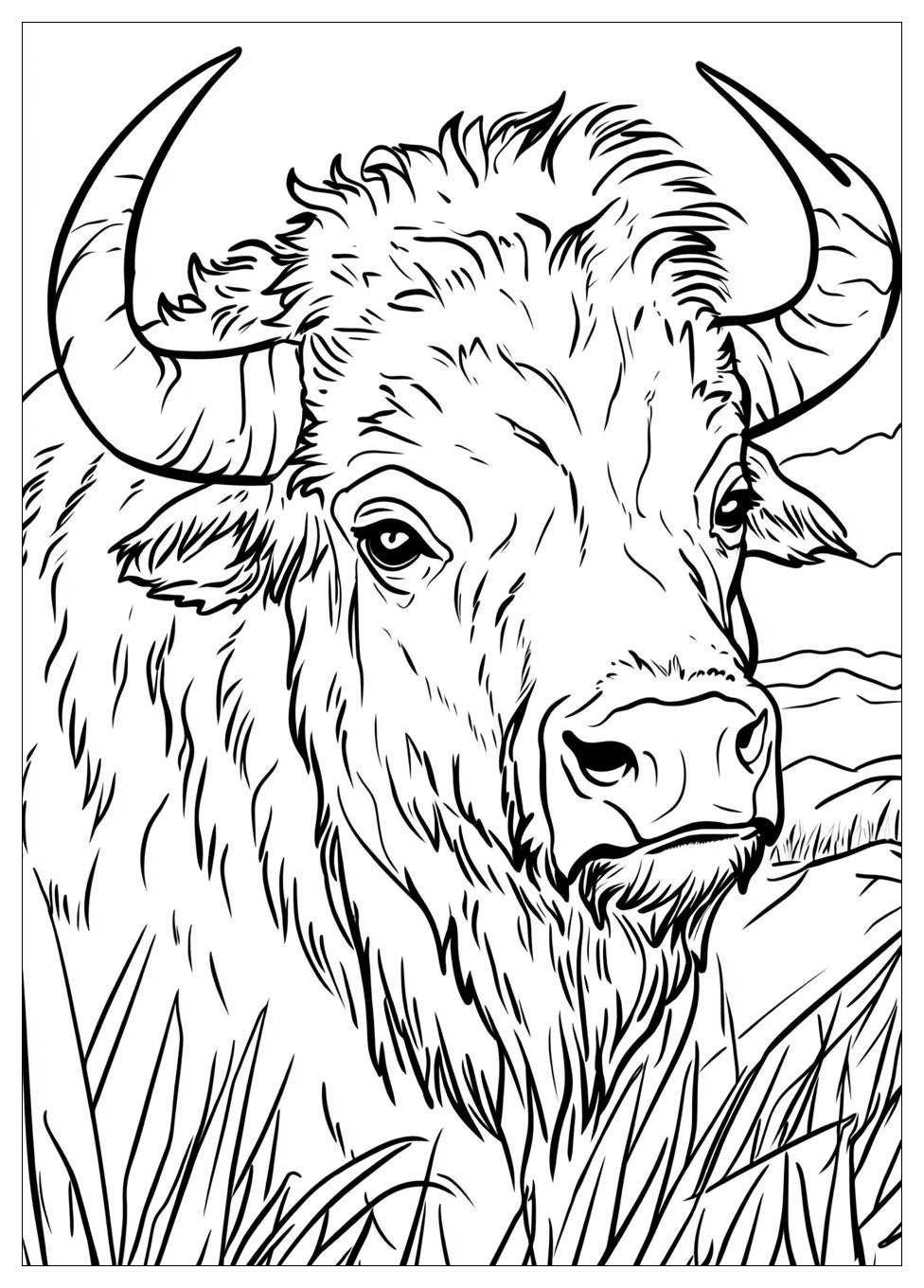 buffalo_coloring_pages_15