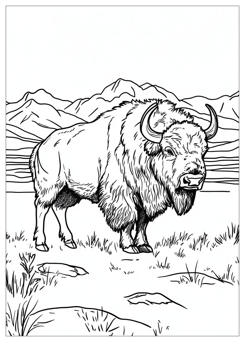 buffalo_coloring_pages_18