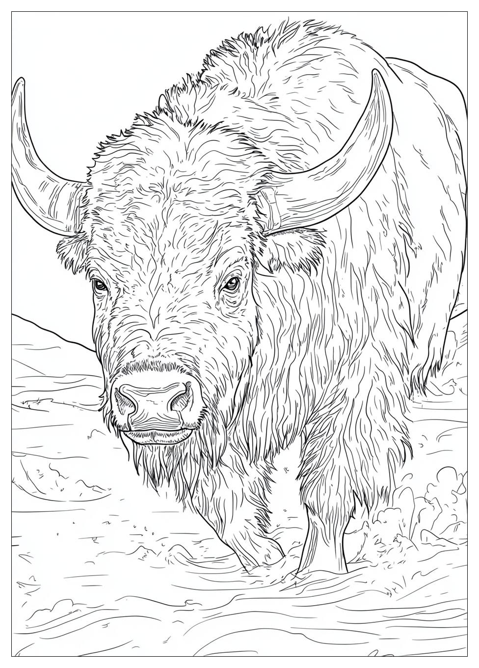 buffalo_coloring_pages_23