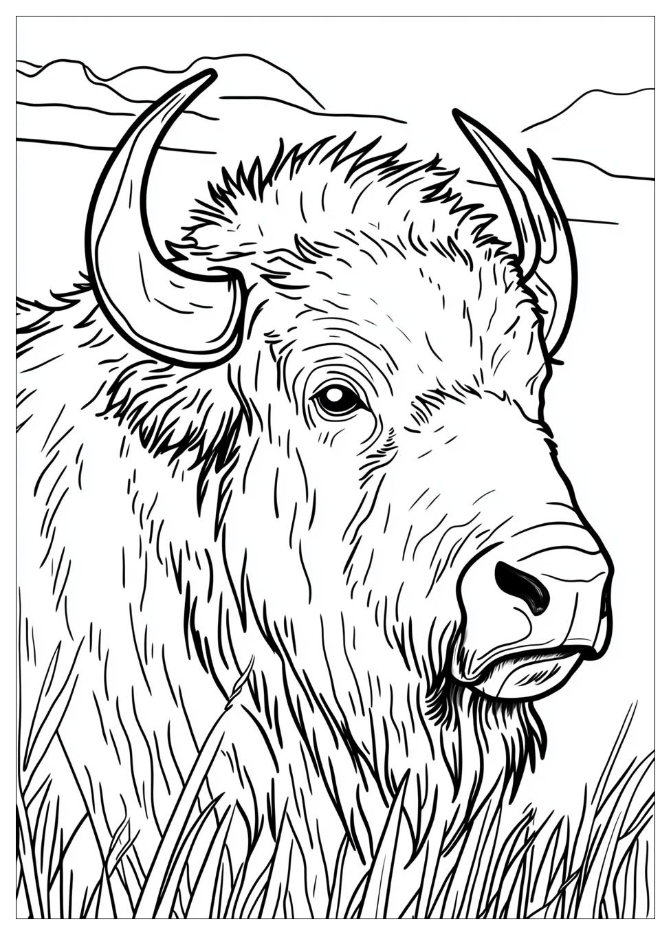 buffalo_coloring_pages_7