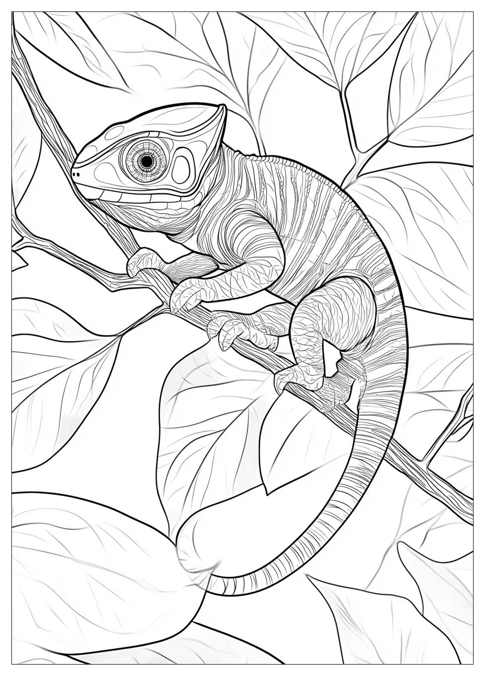 chameleon_coloring_pages_11