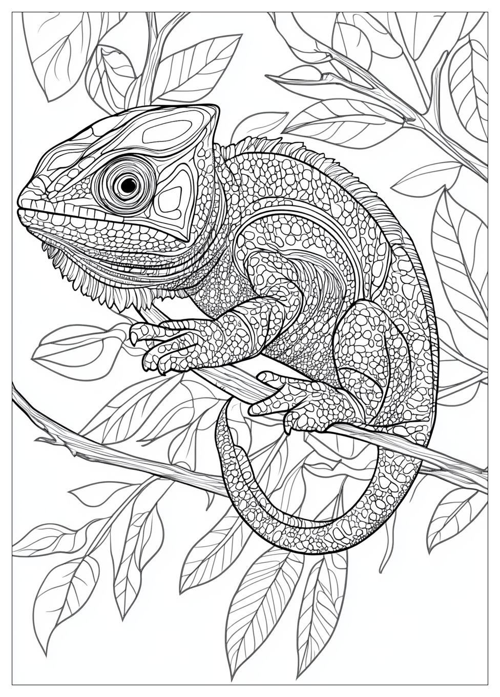 chameleon_coloring_pages_24