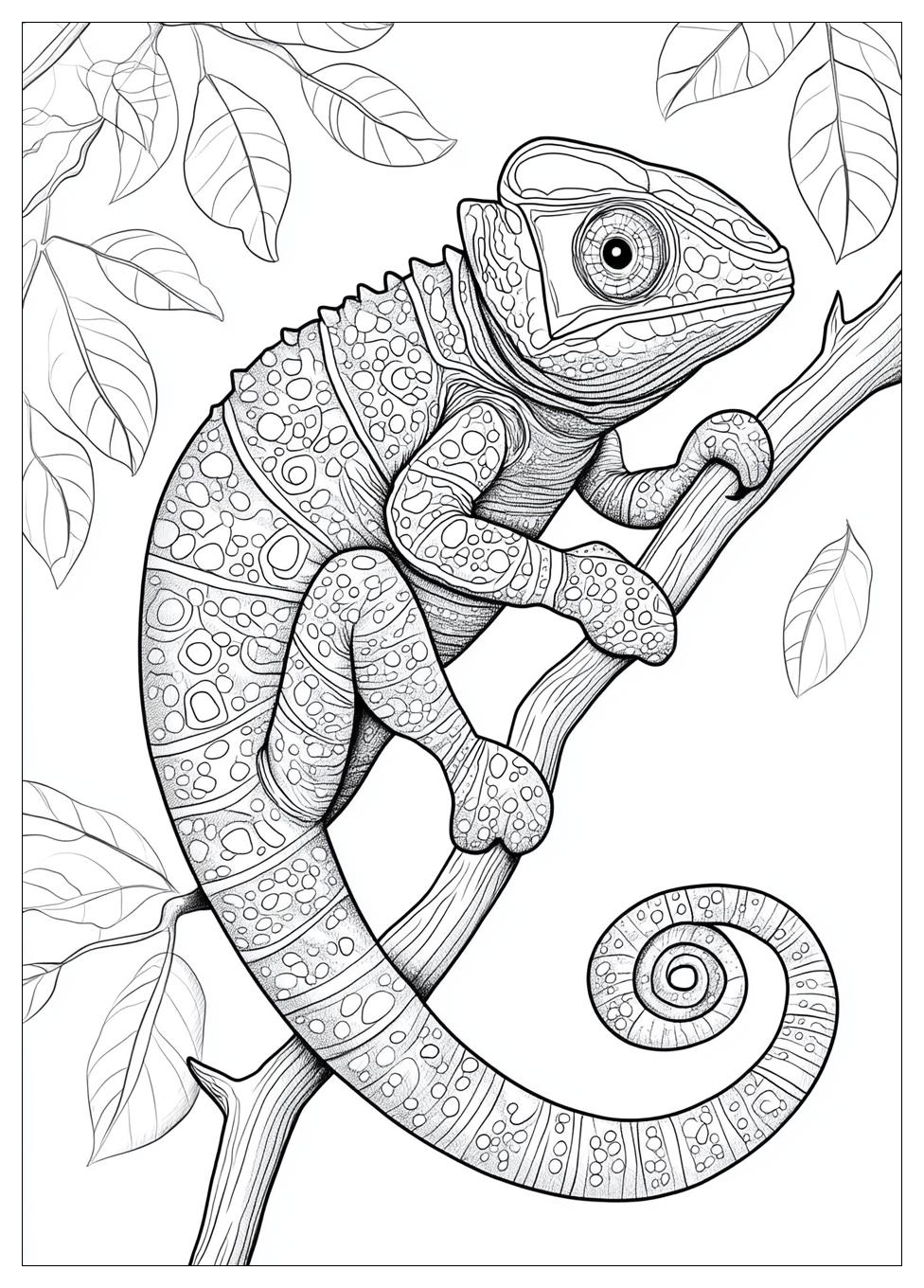 chameleon_coloring_pages_6