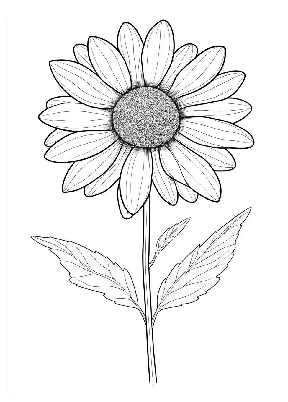 daisy_coloring_pages_16