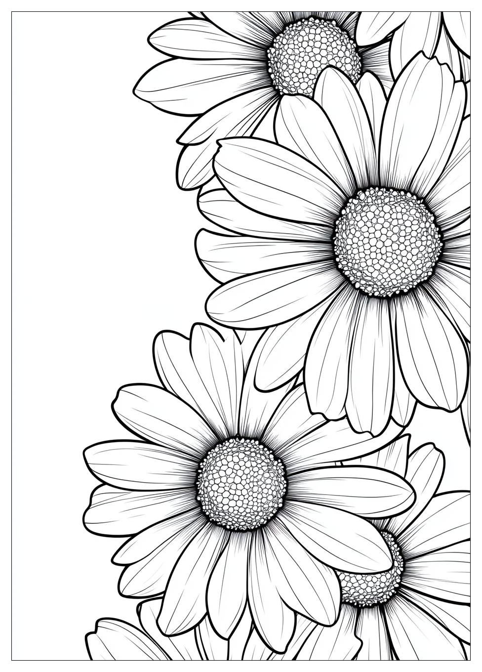 daisy_coloring_pages_23