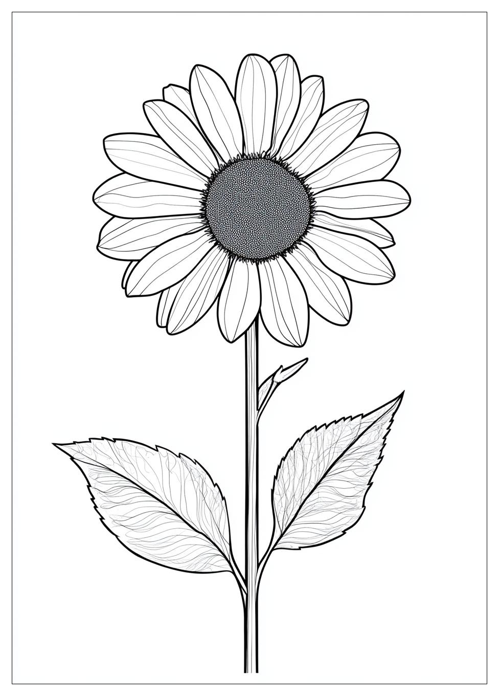 daisy_coloring_pages_5