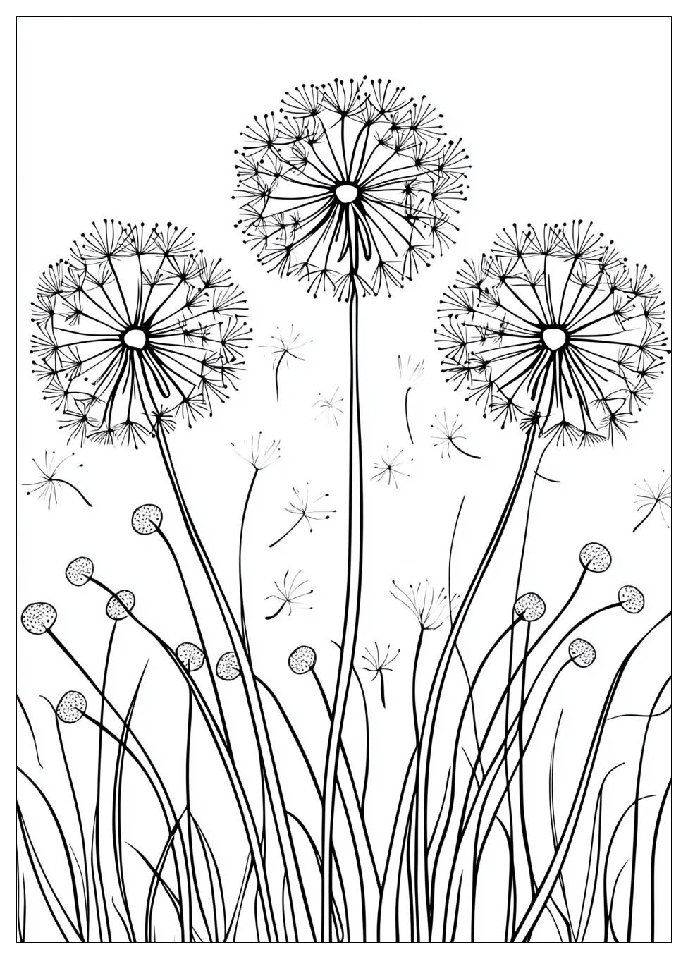 dandelion_coloring_pages_1