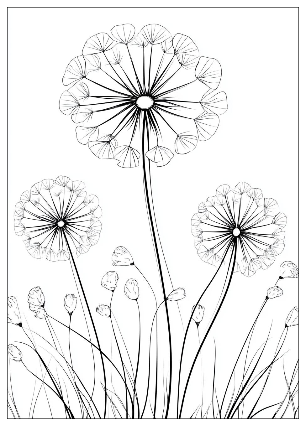 dandelion_coloring_pages_10