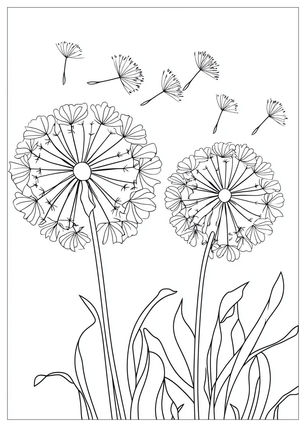 dandelion_coloring_pages_13