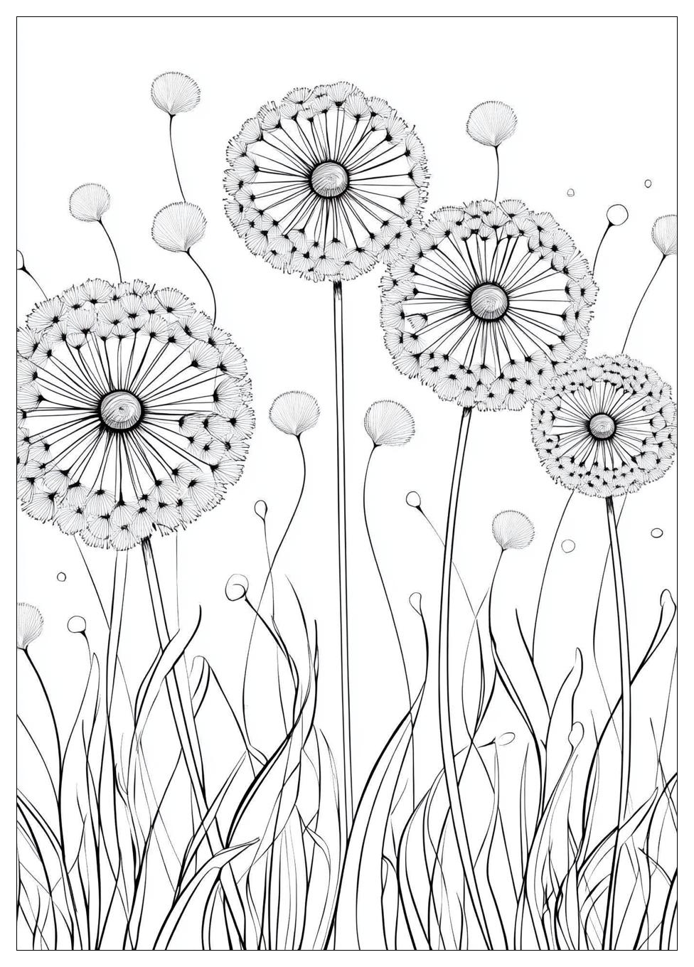 dandelion_coloring_pages_15