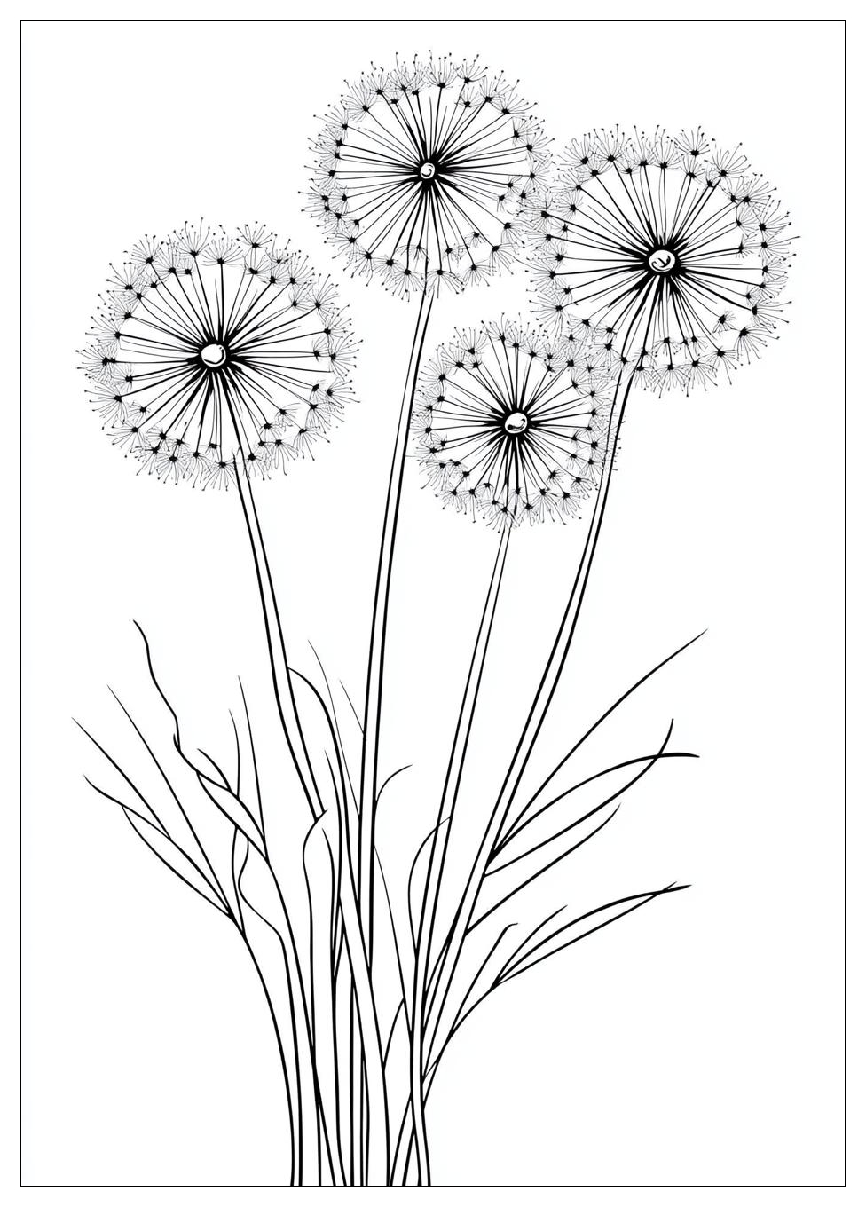 dandelion_coloring_pages_16